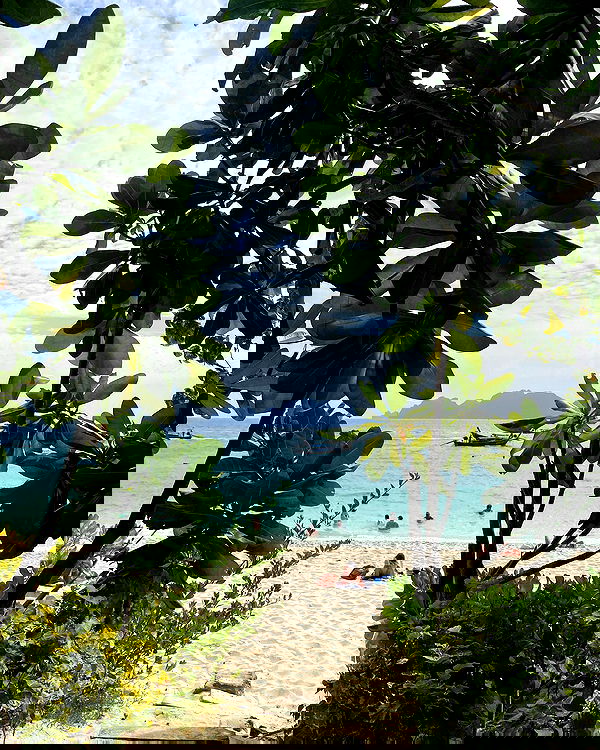 yam_adler image ~ Altpins