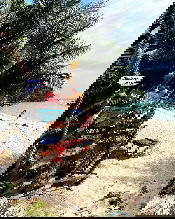 yam_adler image ~ Altpins