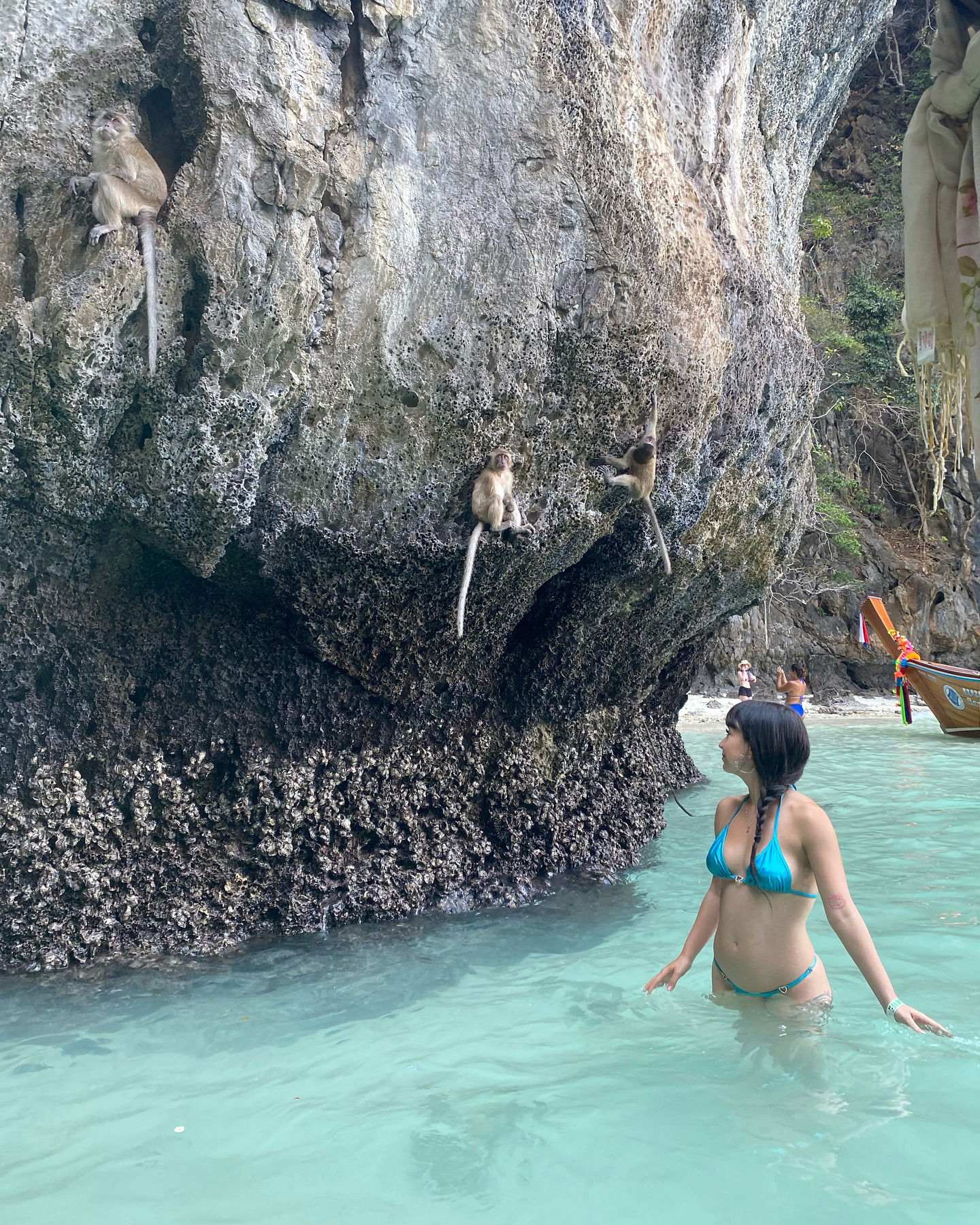 yam_adler instagram image archive image