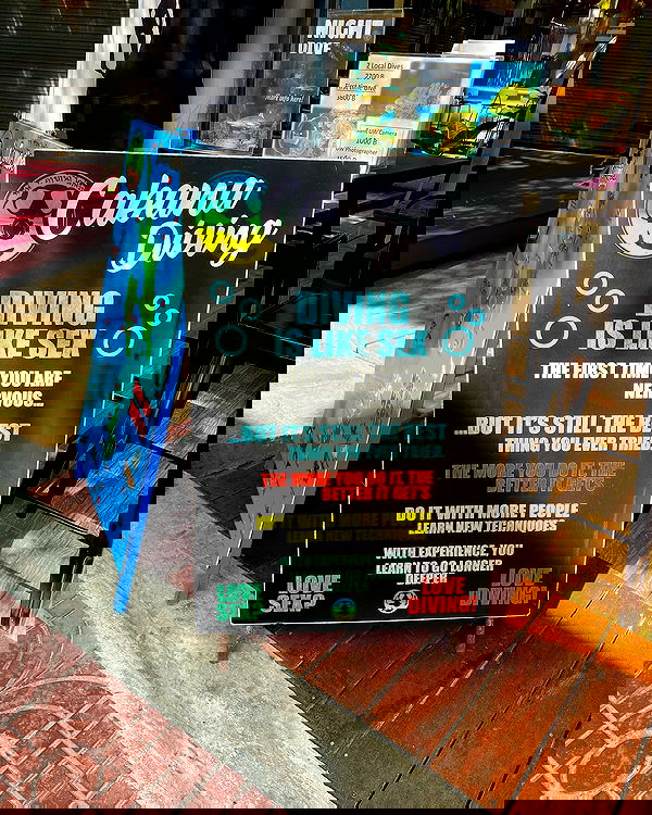 yam_adler image ~ Altpins