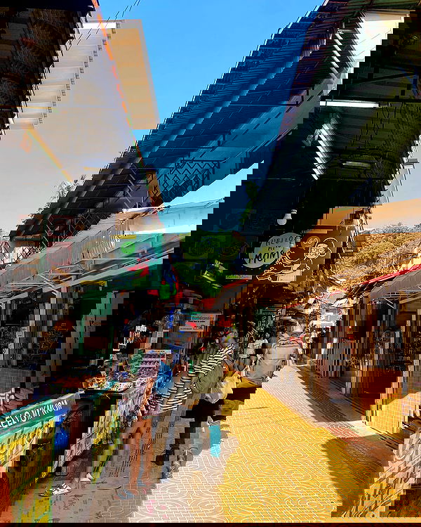 yam_adler image ~ Altpins