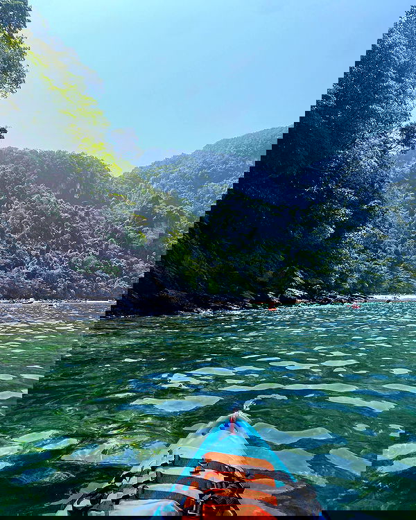 yam_adler image ~ Altpins