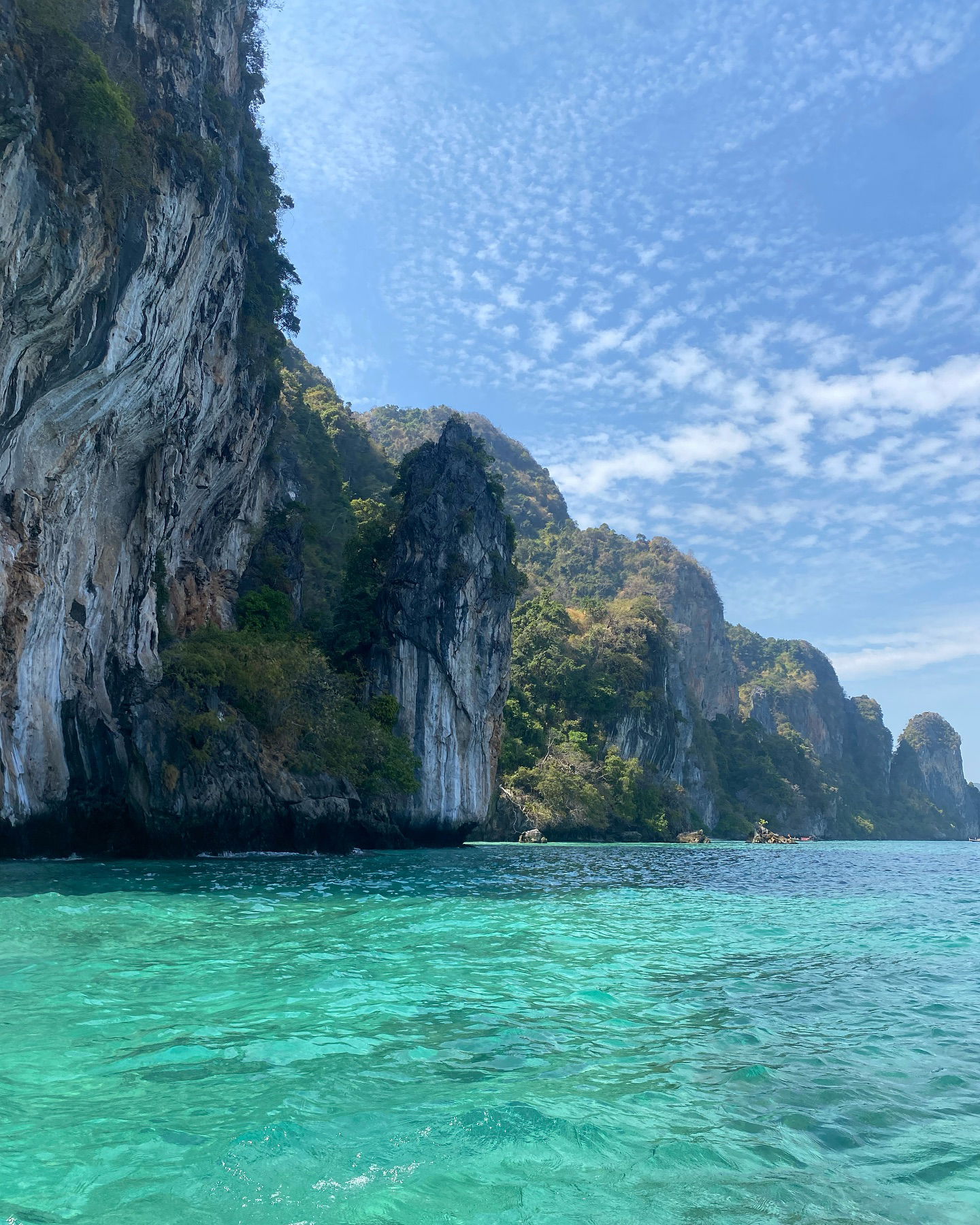 yam_adler instagram image archive image