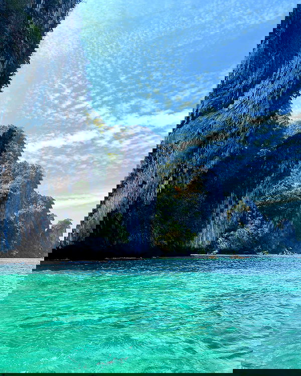 yam_adler image ~ Altpins