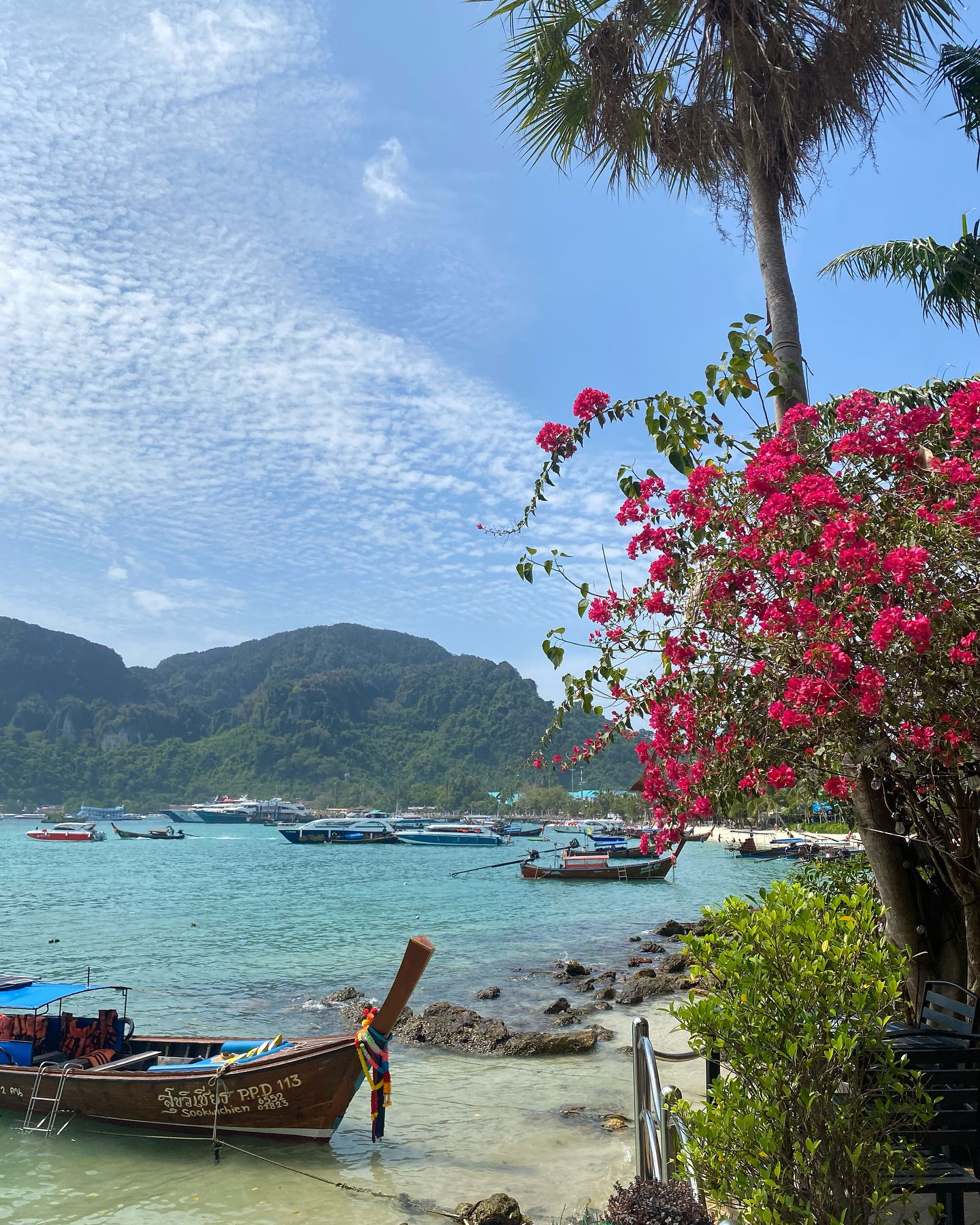 yam_adler instagram image archive image