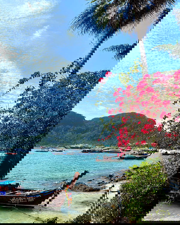 yam_adler image ~ Altpins