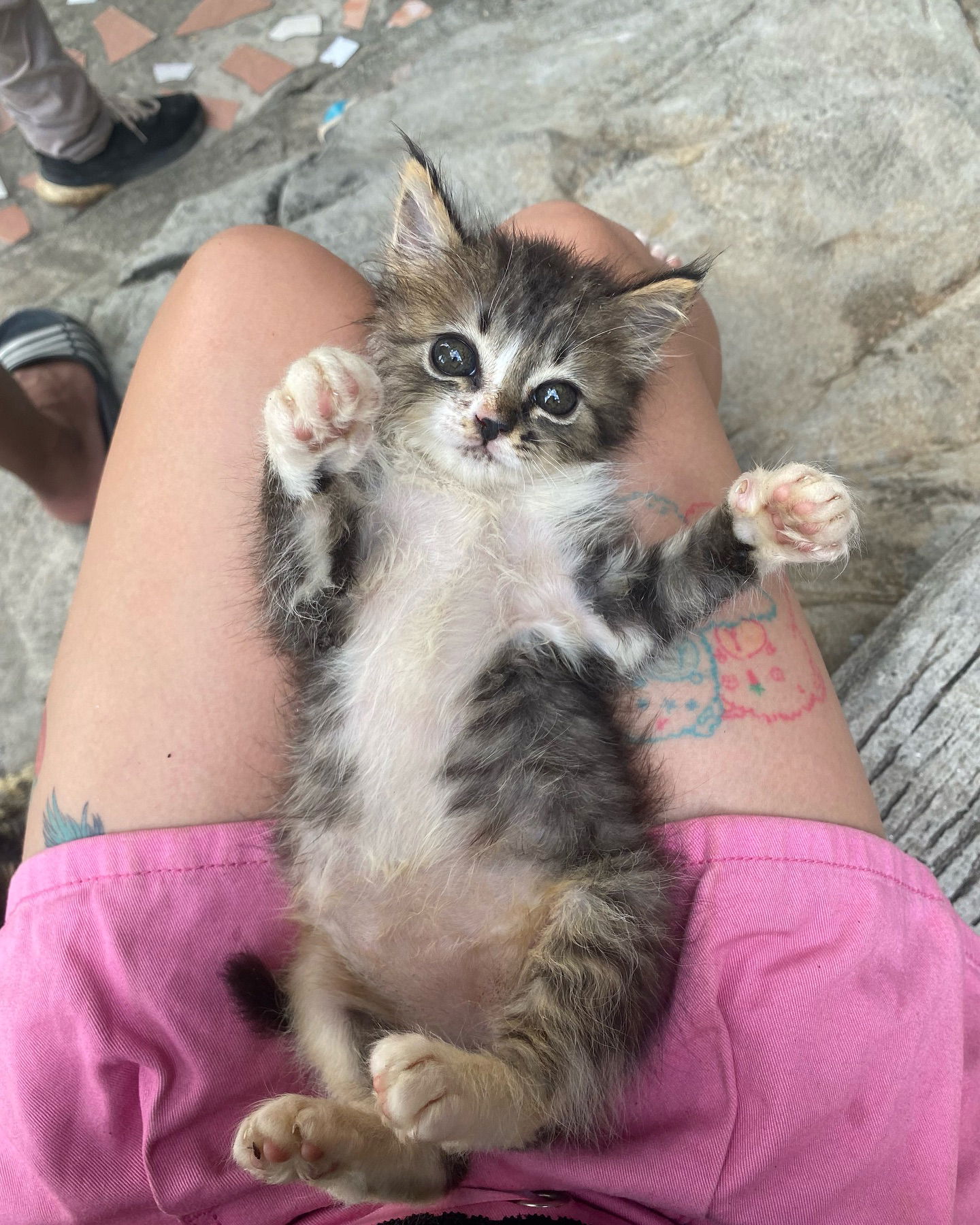 yam_adler instagram image archive image