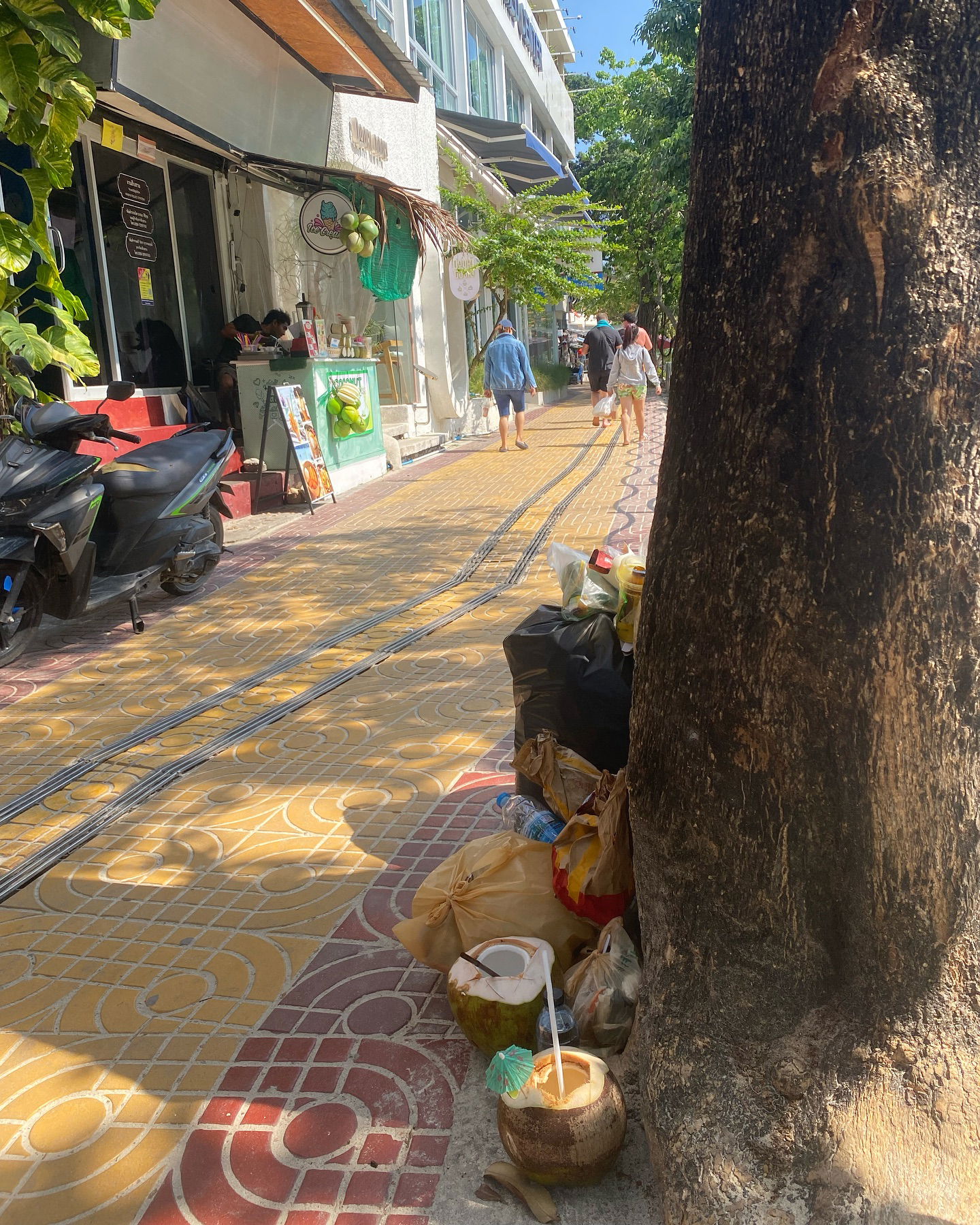 yam_adler instagram image archive image