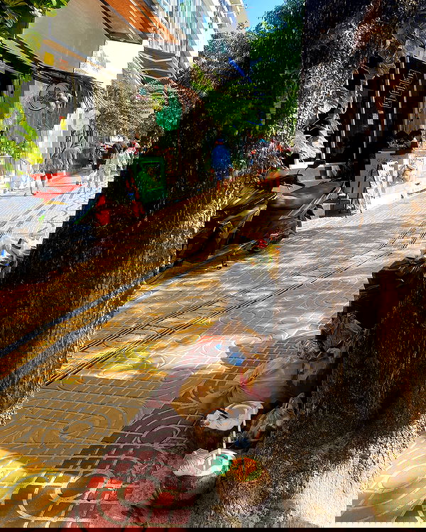 yam_adler image ~ Altpins