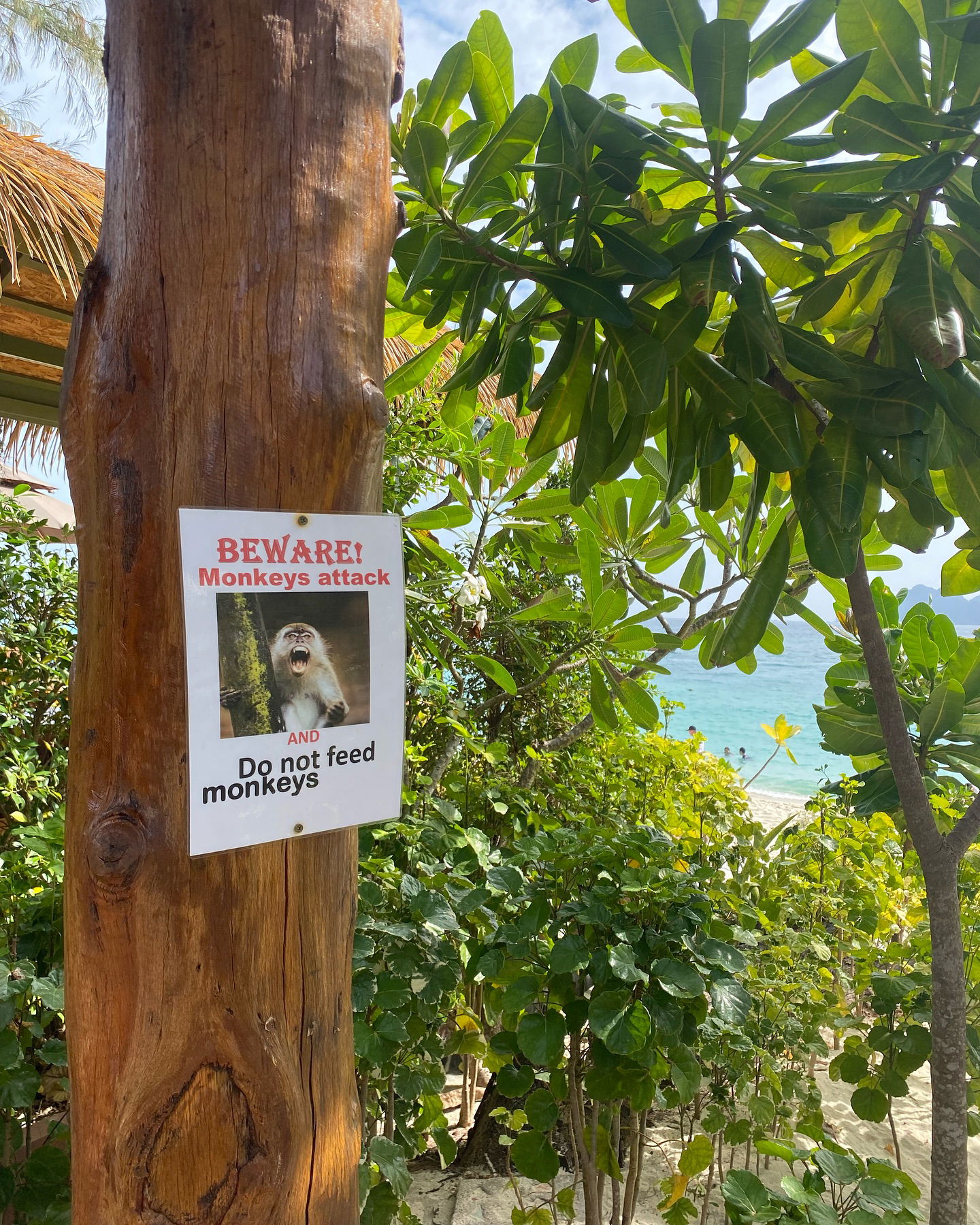 yam_adler instagram image archive image