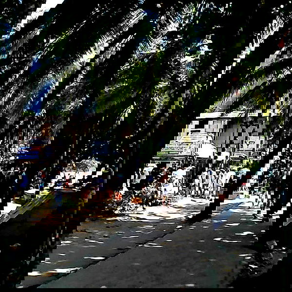 yam_adler image ~ Altpins