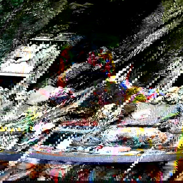 yam_adler image ~ Altpins