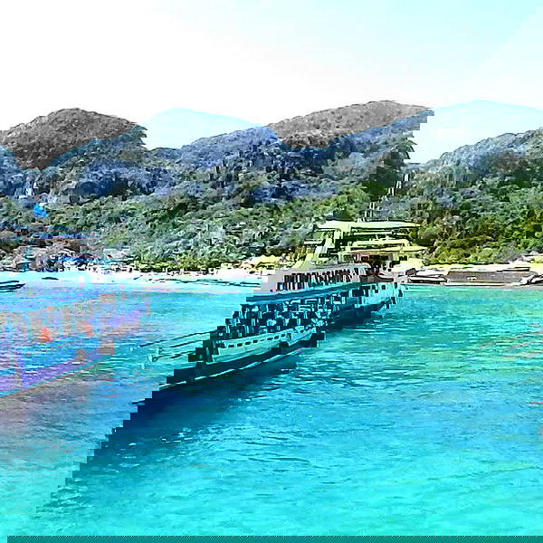 yam_adler image ~ Altpins