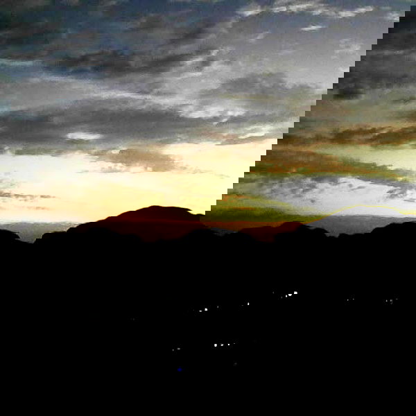 yam_adler image ~ Altpins