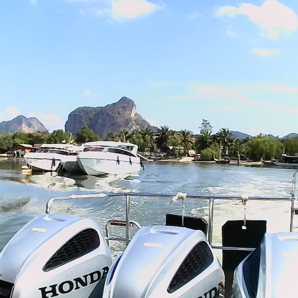 yam_adler instagram image archive image