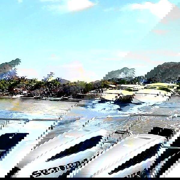 yam_adler image ~ Altpins