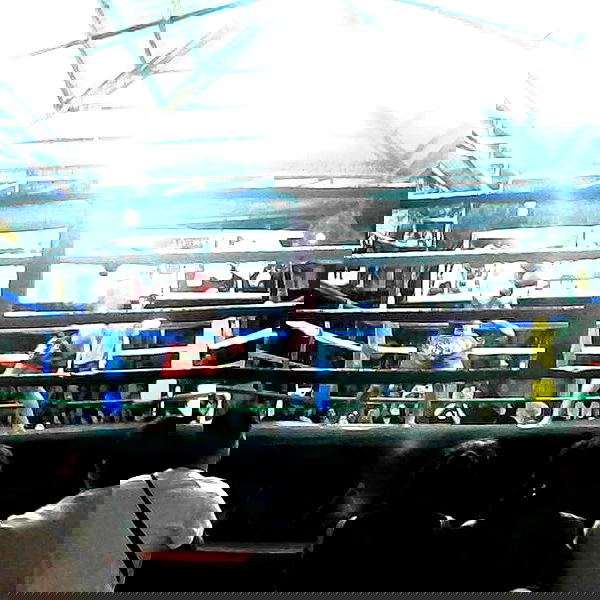 yam_adler image ~ Altpins