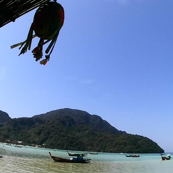 yam_adler instagram image archive image