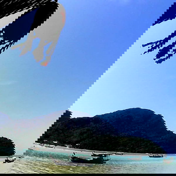 yam_adler image ~ Altpins