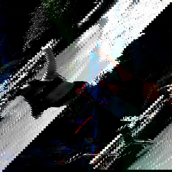 yam_adler image ~ Altpins