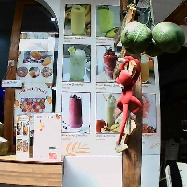 yam_adler instagram image archive image