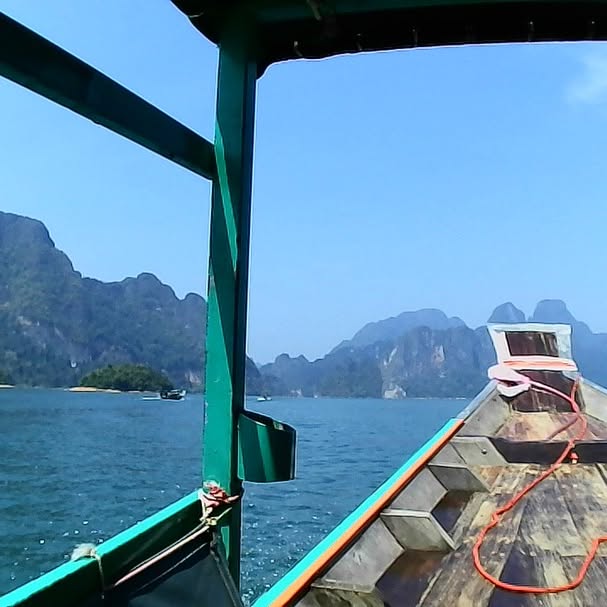 yam_adler instagram image archive image