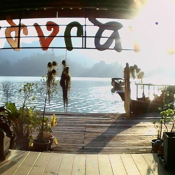 yam_adler instagram image archive image