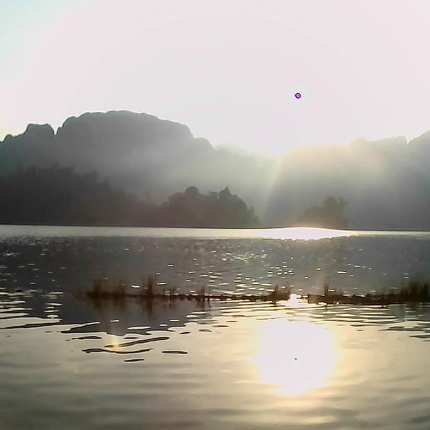 yam_adler instagram image archive image