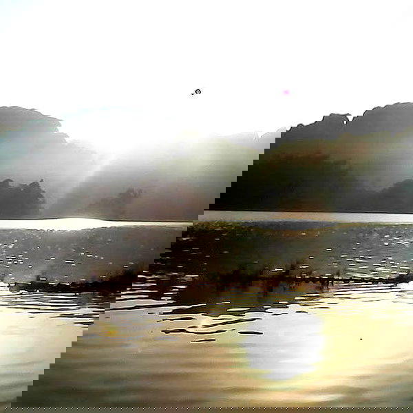 yam_adler image ~ Altpins