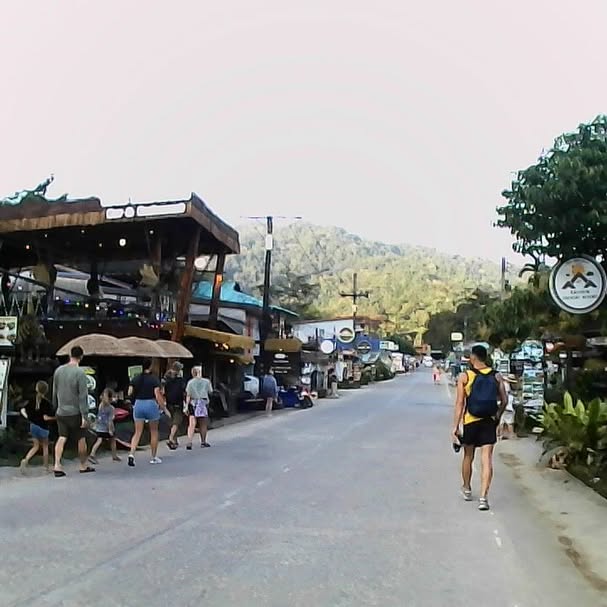 yam_adler instagram image archive image