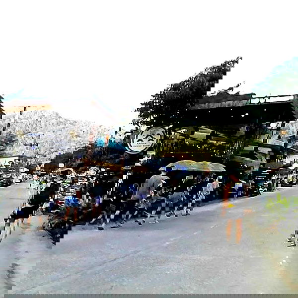 yam_adler image ~ Altpins