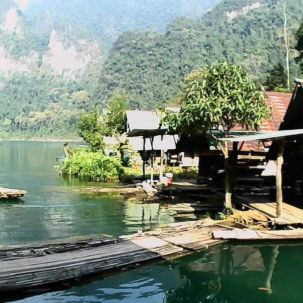 yam_adler instagram image archive image