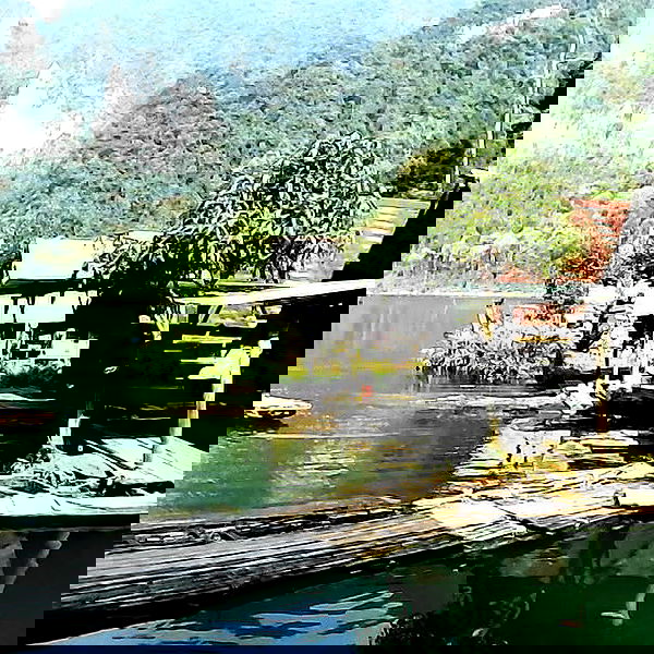 yam_adler image ~ Altpins