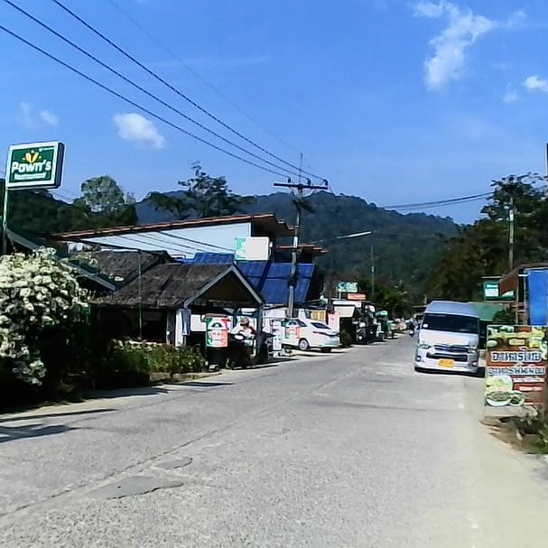 yam_adler instagram image archive image