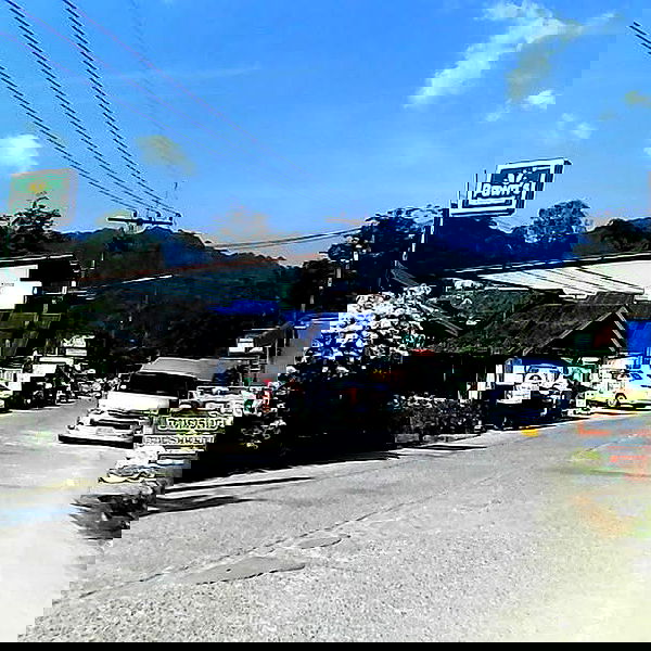 yam_adler image ~ Altpins