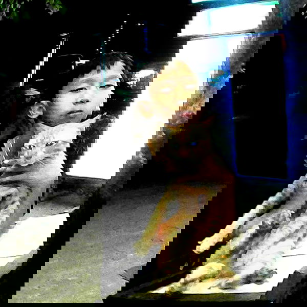 yam_adler image ~ Altpins