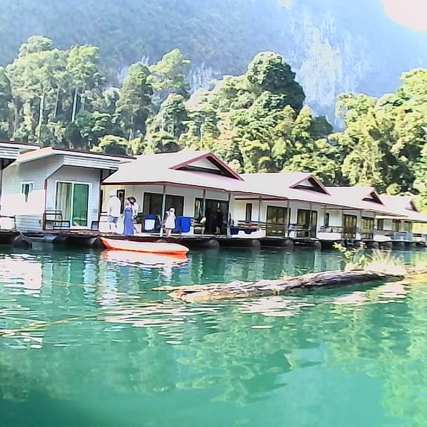 yam_adler instagram image archive image