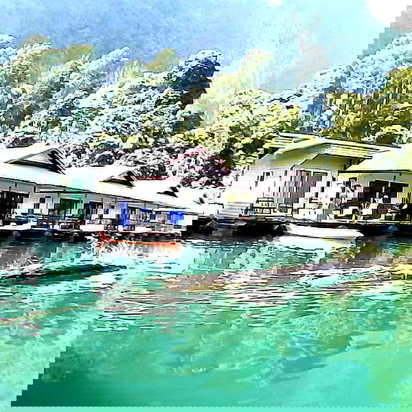 yam_adler image ~ Altpins