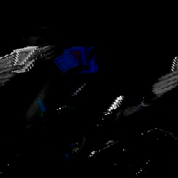 yam_adler image ~ Altpins