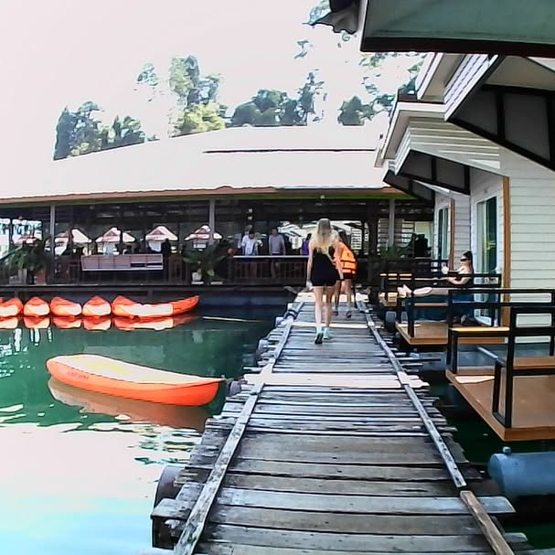 yam_adler instagram image archive image