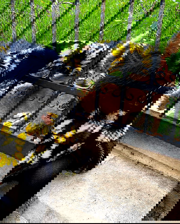 yam_adler image ~ Altpins