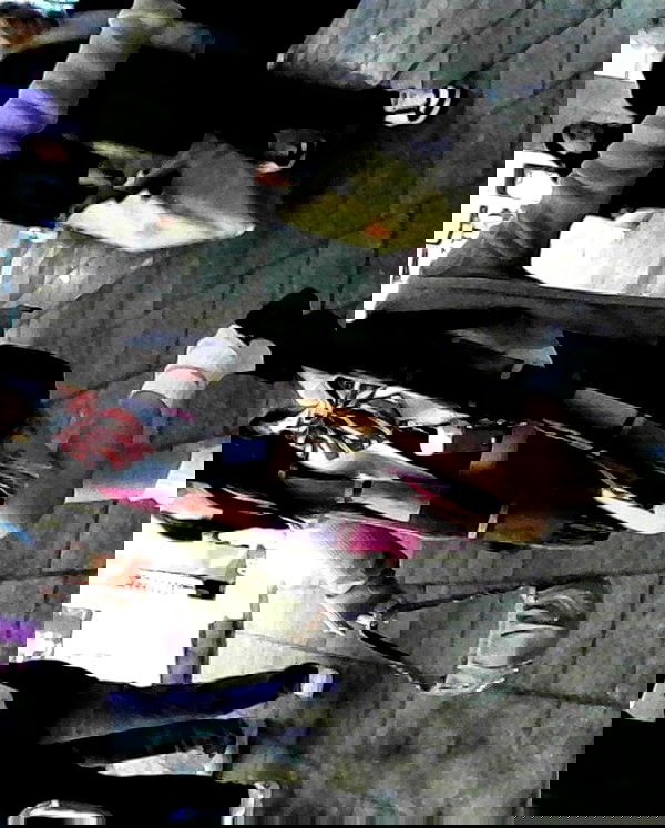 yam_adler image ~ Altpins