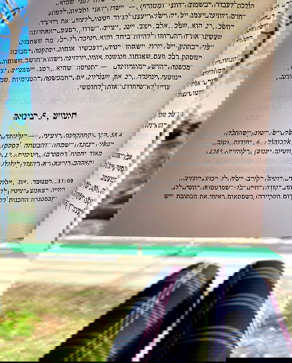 yam_adler image ~ Altpins