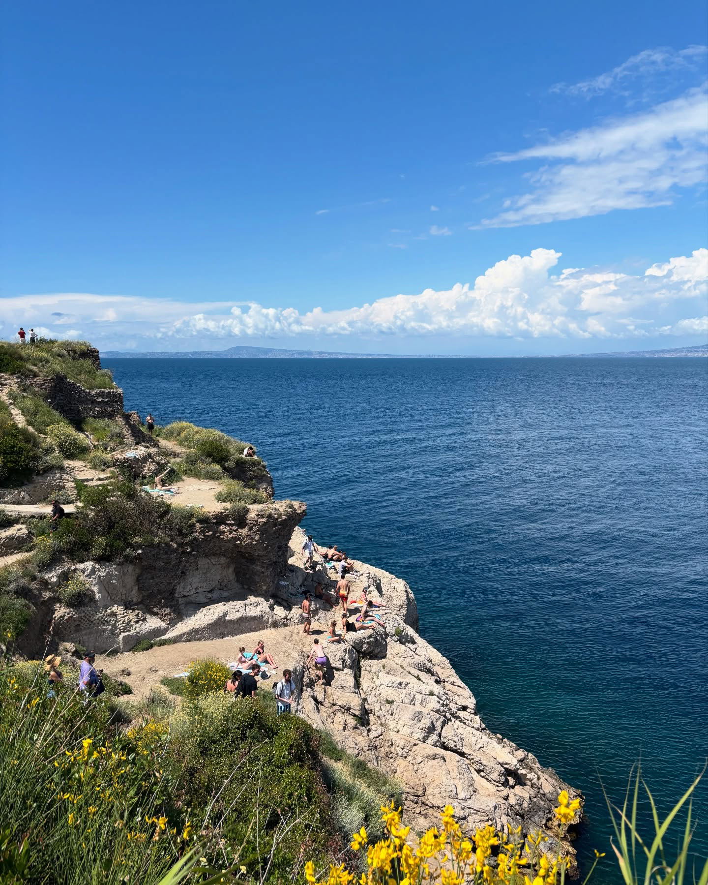 yam_adler instagram image archive image