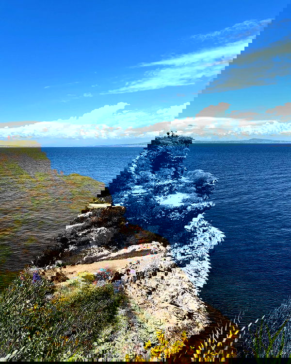 yam_adler image ~ Altpins