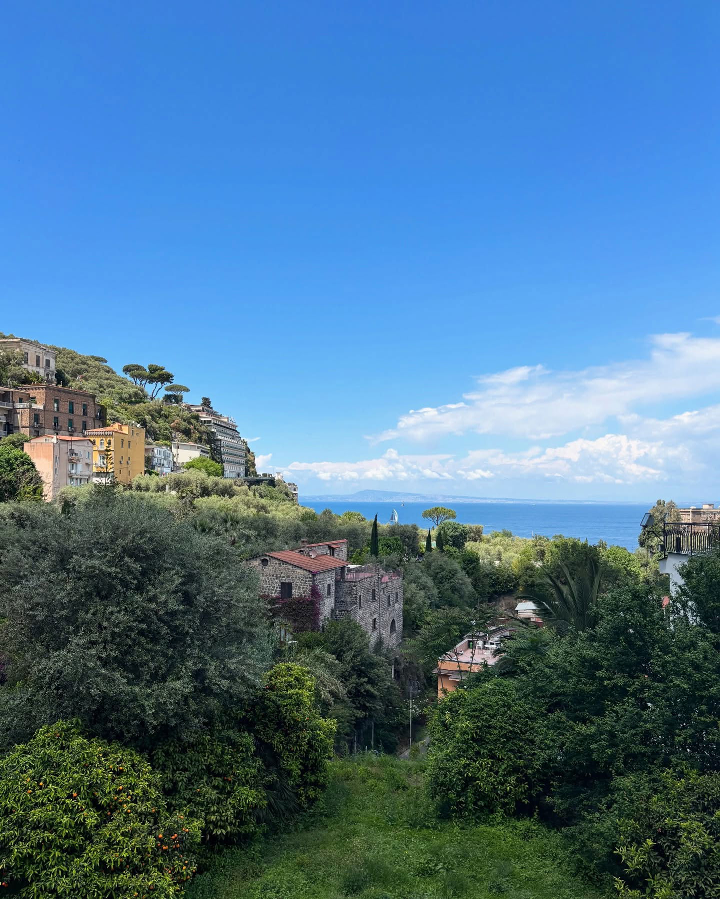 yam_adler instagram image archive image