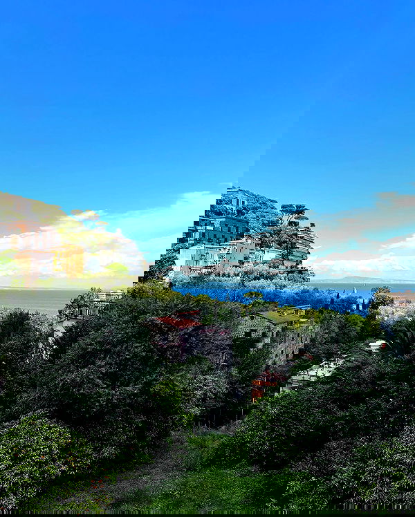 yam_adler image ~ Altpins