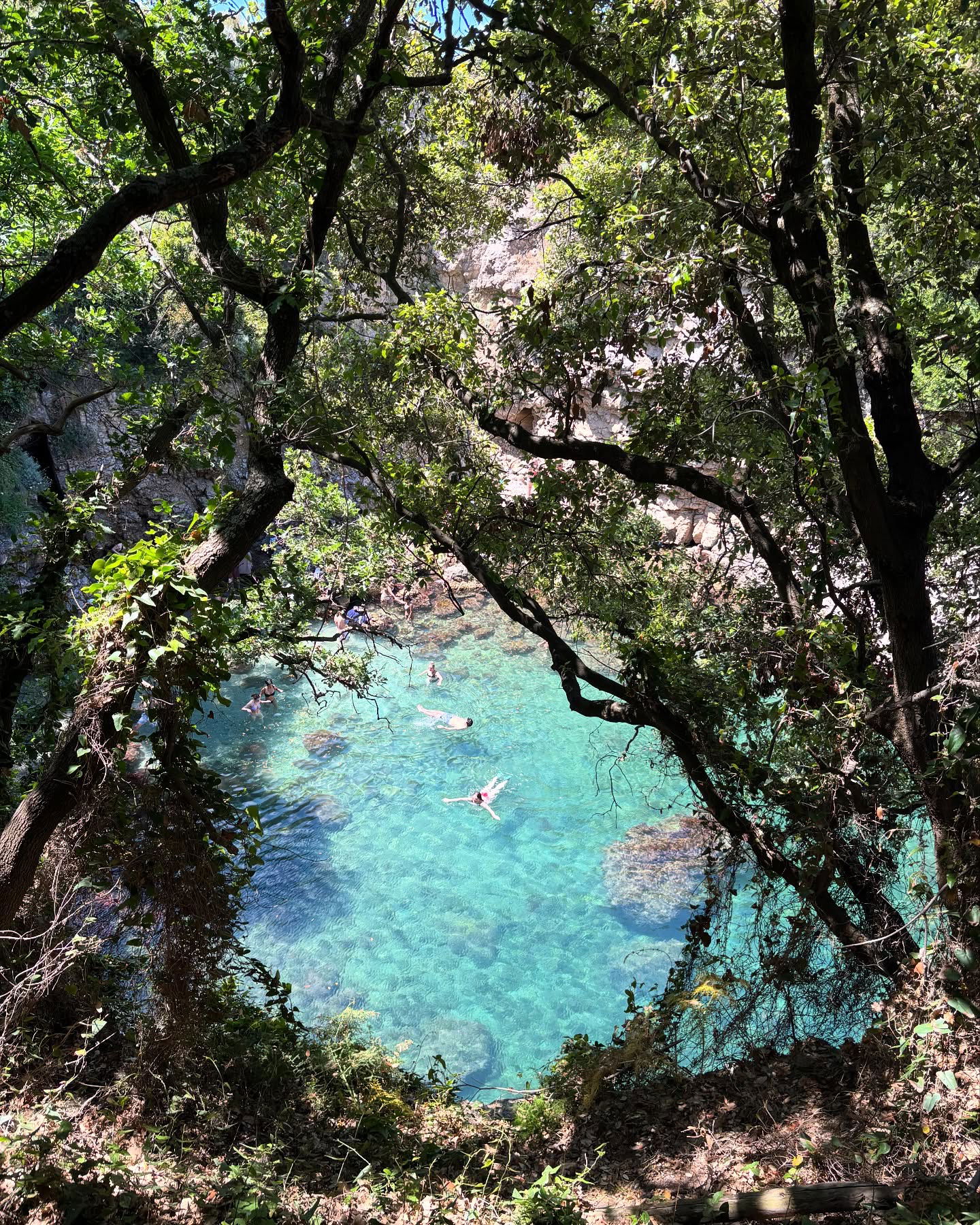 yam_adler instagram image archive image