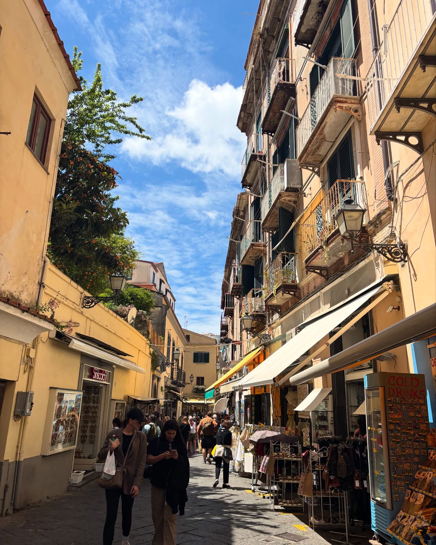 yam_adler instagram image archive image