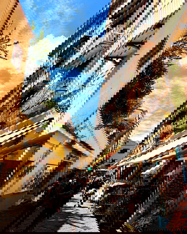 yam_adler image ~ Altpins